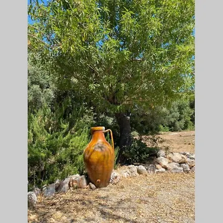 Вилла Idyllischer Trullo Mit Pool *